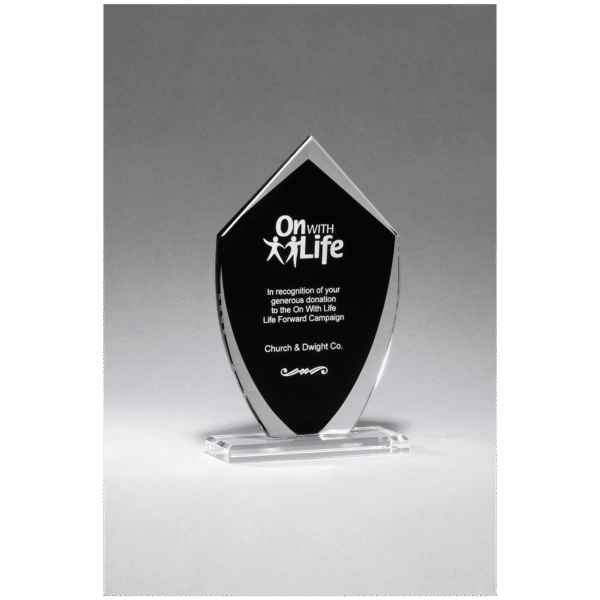 5" x 8 1/4" Shield Shaped Glass Award with Black Silkscreened Center