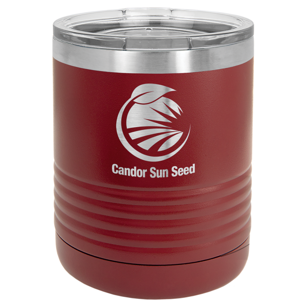 Polar Camel 10 oz. Vacuum Insulated Ringneck Tumbler with Clear Lid