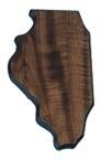 8 1/4" x 13 1/4" Walnut Finish Black Edge Illinois State Plaque