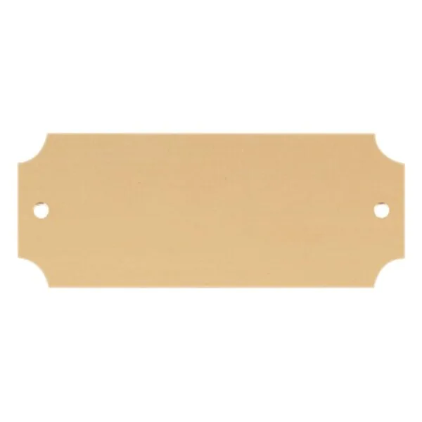 Custom Engraved 2 1/2" x 1" Satin Gold Brass Perpetual Plate