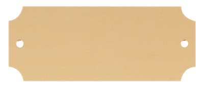 Custom Engraved 2 1/2" x 1" Satin Gold Brass Perpetual Plate