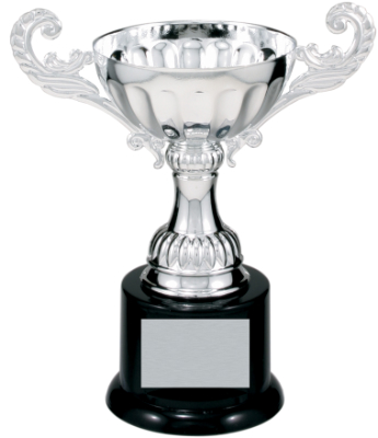 Custom 6 1/2" Silver Completed Metal Cup Trophy on Plastic Base