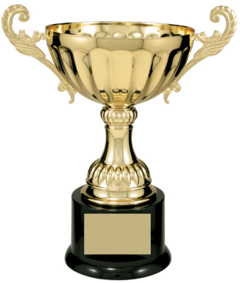 Custom 9 3/4" Gold Completed Metal Cup Trophy on Plastic Base