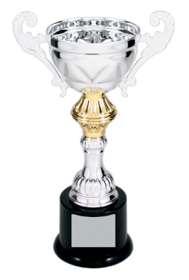 Custom 8 3/4" Silver Completed Metal Cup Trophy on Plastic Base