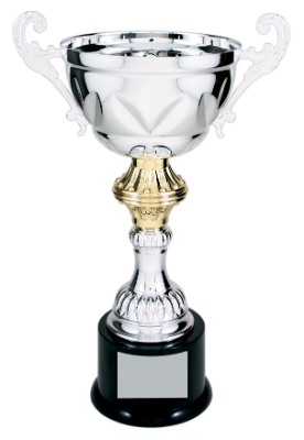 Custom 13" Silver Completed Metal Cup Trophy on Plastic Base