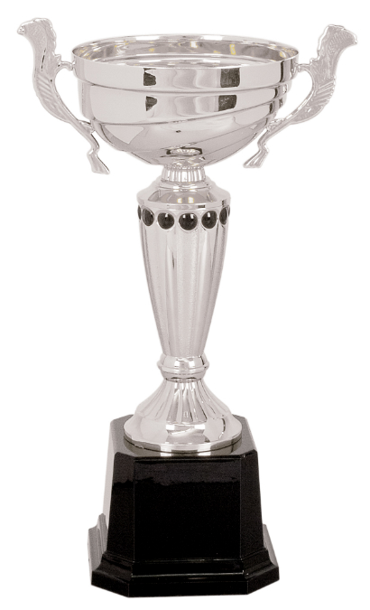 Custom 11 1/2" Silver Completed Metal Cup Trophy on Plastic Base