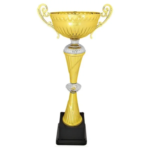 Custom 16 3/4" Gold/Silver Completed Metal Cup Trophy