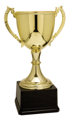 Custom 16 3/4" Gold Completed Zinc Cup Trophy