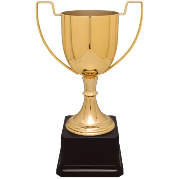 Custom 10 1/2" Gold Completed Zinc Cup Trophy on Plastic Base