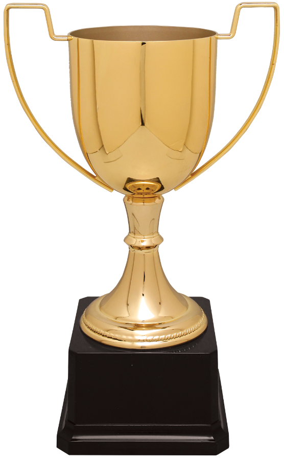 Custom 10 1/2" Gold Completed Zinc Cup Trophy on Plastic Base
