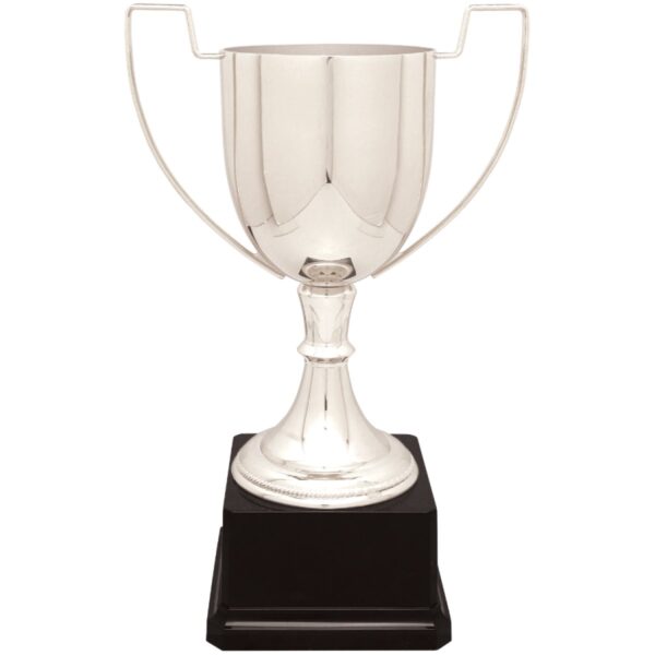 Custom 11 3/4" Silver Completed Zinc Cup Trophy on Plastic Base