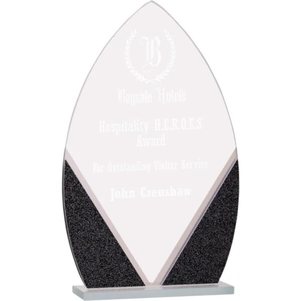 Custom Engraved 7 1/4" Oval Designer Glass Award