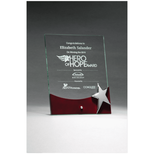 Custom Engraved 8" x 10" Freestanding Glass Award