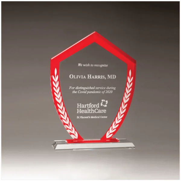 Custom Engraved 5 7/8" x 8 1/8" Shield Shaped Glass Award