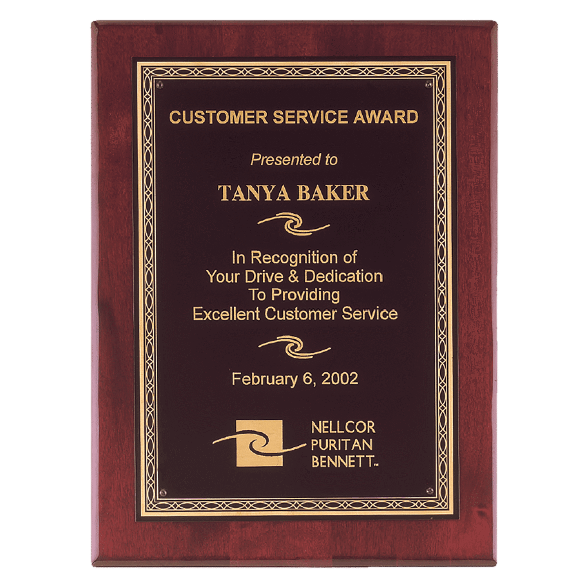 Custom Engraved 9" x 12" Premium Plate