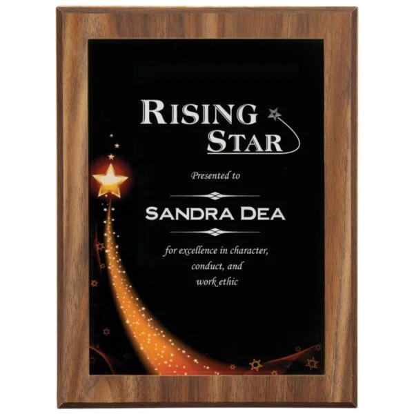 Custom Engraved 6 7/8" X 9 7/8" Star Galaxy Acrylic Plaque Plate